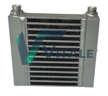 VITALE RE816748