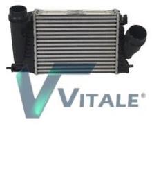 VITALE RE818319