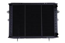 VITALE RVI730627