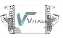 VITALE RVI873638