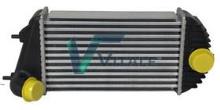 VITALE SU362068