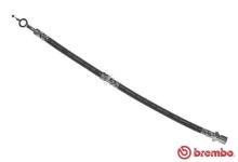 BREMBO T 10 005
