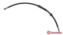 BREMBO T 61 113