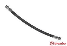 BREMBO T 79 031