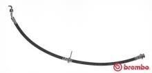 BREMBO T 79 036