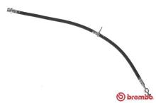 BREMBO T 83 113
