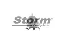 Storm 730920