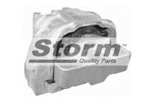Storm F4993