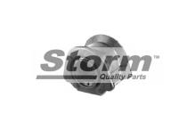 Storm 704440