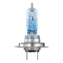 OSRAM 64210CBN
