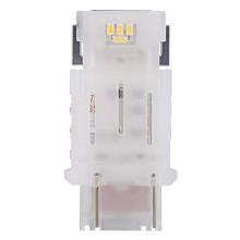 OSRAM 3157DWP-02B