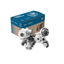 BR Turbo 10009880257RS