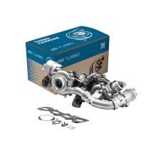 BR Turbo 10009880313RSG