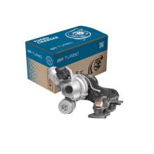 BR Turbo 16399880013RS