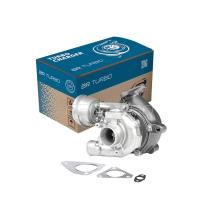 BR Turbo 454161-5001RSG
