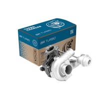 BR Turbo 454219-5001RS