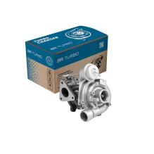 BR Turbo 53039880006RS