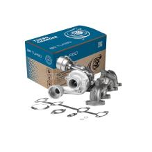 BR Turbo 54399880084RSG