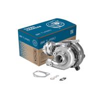 BR Turbo 700447-5001RSG