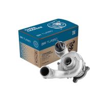BR Turbo 738123-5001RS