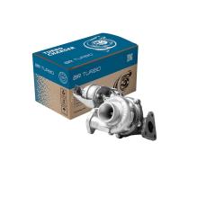BR Turbo 789533-5001RS