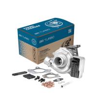 BR Turbo 796910-5001RSM
