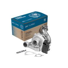 BR Turbo 887552-5001RSG