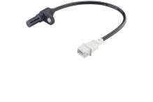 Continental/VDO S102460001Z