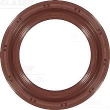 GLASER P77555-01