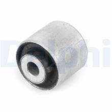 DELPHI TD2080W