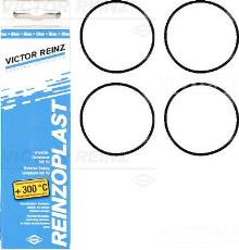 REINZ 15-76741-01