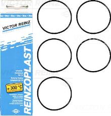 REINZ 15-76741-02