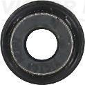 REINZ 70-53093-00