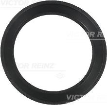 REINZ 71-36061-00