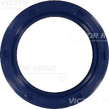 REINZ 81-53272-00