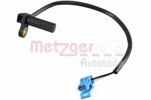 METZGER 0909091