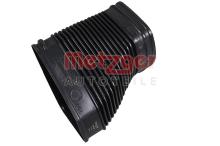 METZGER 2389087
