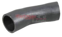 METZGER 2400491