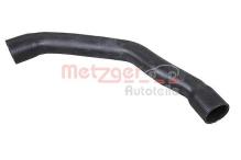 METZGER 2420338