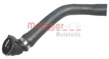 METZGER 2420598