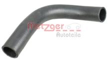 METZGER 2420819