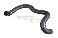METZGER 2421946