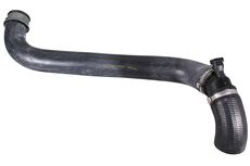 METZGER 2422218