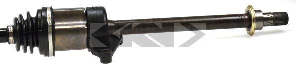 Cardã GKN 24103