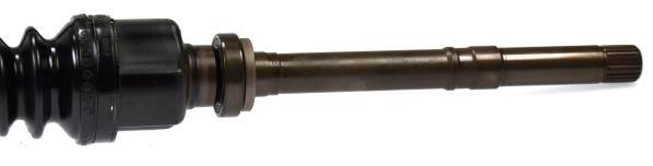 Cardã GKN 24458