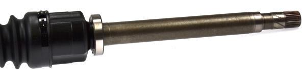 Cardã GKN 24755