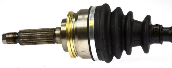 Cardã GKN 24850