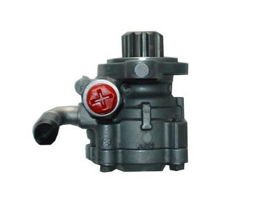 Bomba de direção assistida GKN ref. 52594