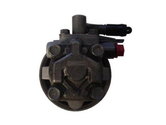 Bomba de direção assistida GKN ref. 52660