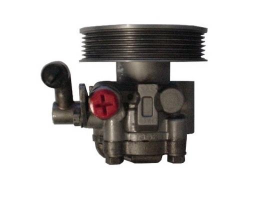 Bomba de direção assistida GKN ref. 52660